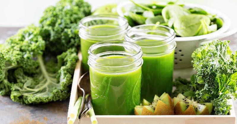 Hướng dẫn cách làm bột cải Kale tại nhà đơn giản