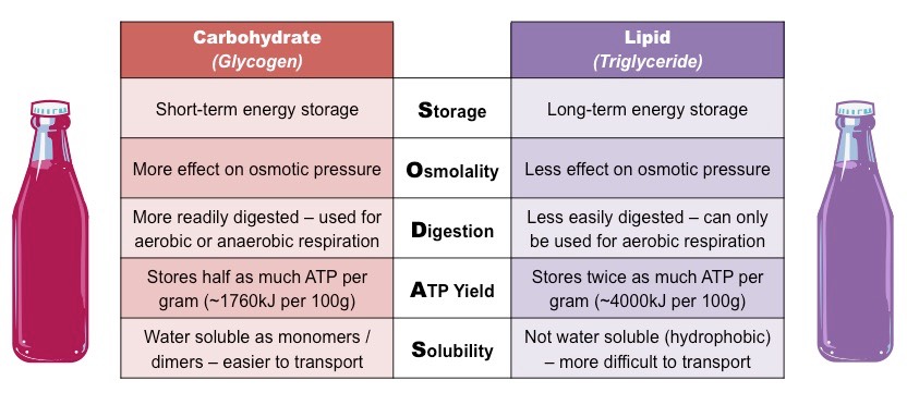 energy storage