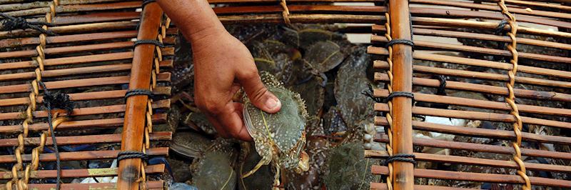 Crab market on the southern coast, Kep