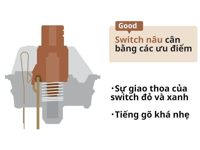 Brown Switch: Yên Tĩnh, Phù Hợp Cho Nhân Viên Văn Phòng Và Người Mới Bắt Đầu