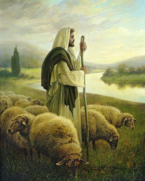 The Good Shepherd by Greg Olsen | Pictures of jesus christ, The good  shepherd, Jesus pictures
