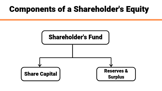 shareholder's equity classification