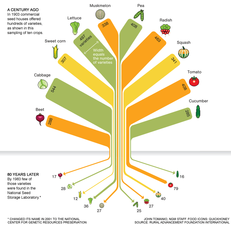 Importance of Genetic Diversity in Agriculture | by Chase James Krug |  TheNextNorm | Medium