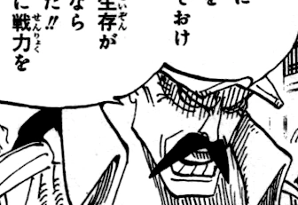 Momonga in One Piece