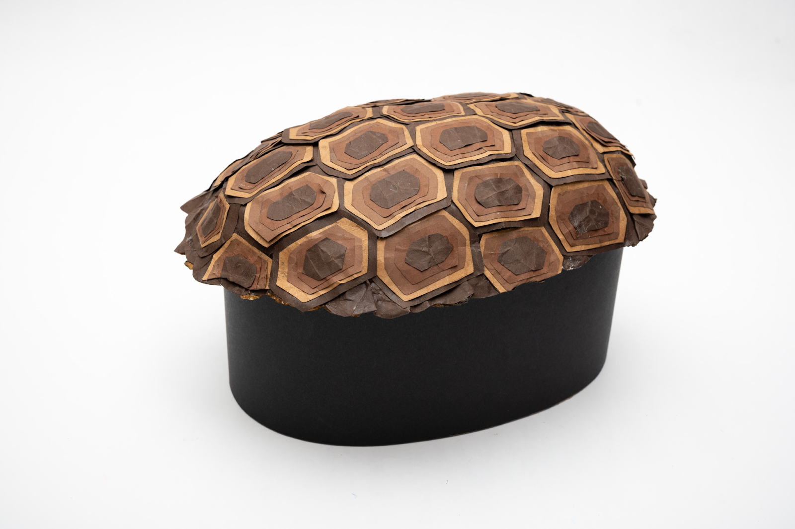 Make a Tortoise Shell Trinket Paper Craft Activity for Kids