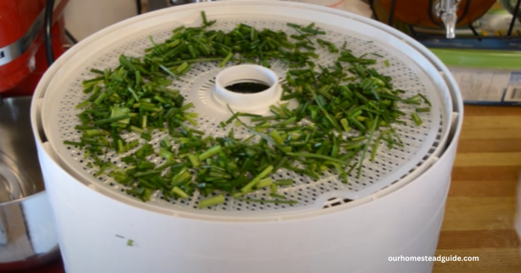 Dehydrate Chive Flakes