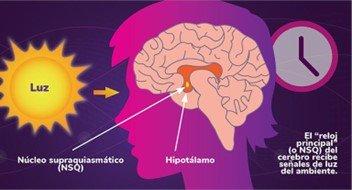 La Mejor Potección para Tu Piel y Tu Energía: Bruma Frecuencial Antistress