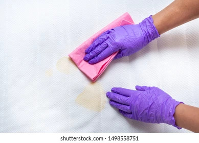 Cleaning Service Image