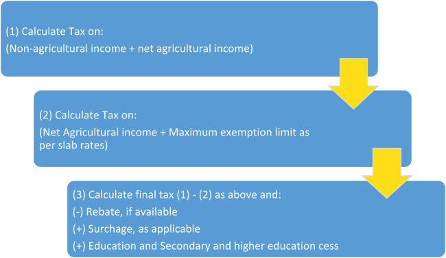 agriculture income tax 