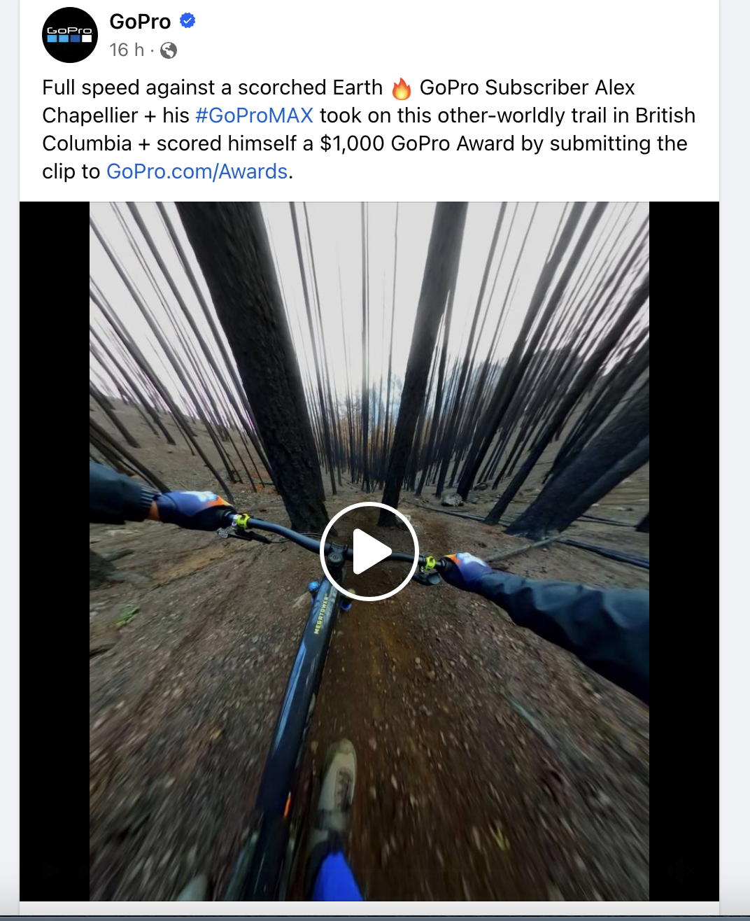 Facebook ad example from GoPro