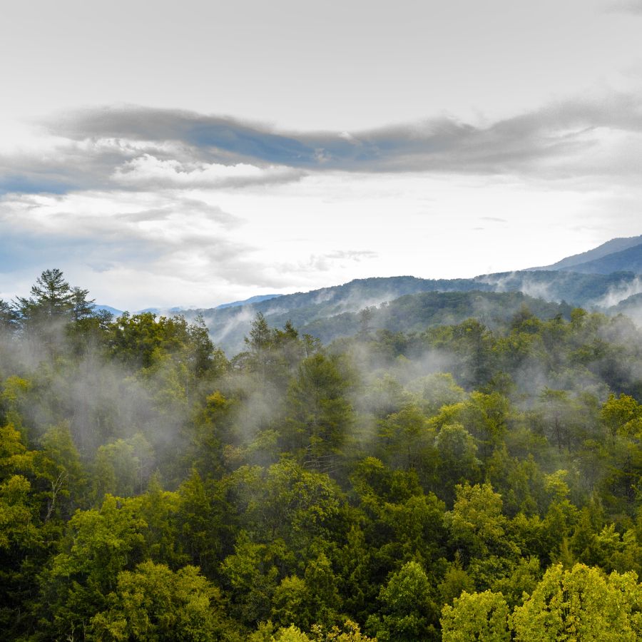 great smoky mountains