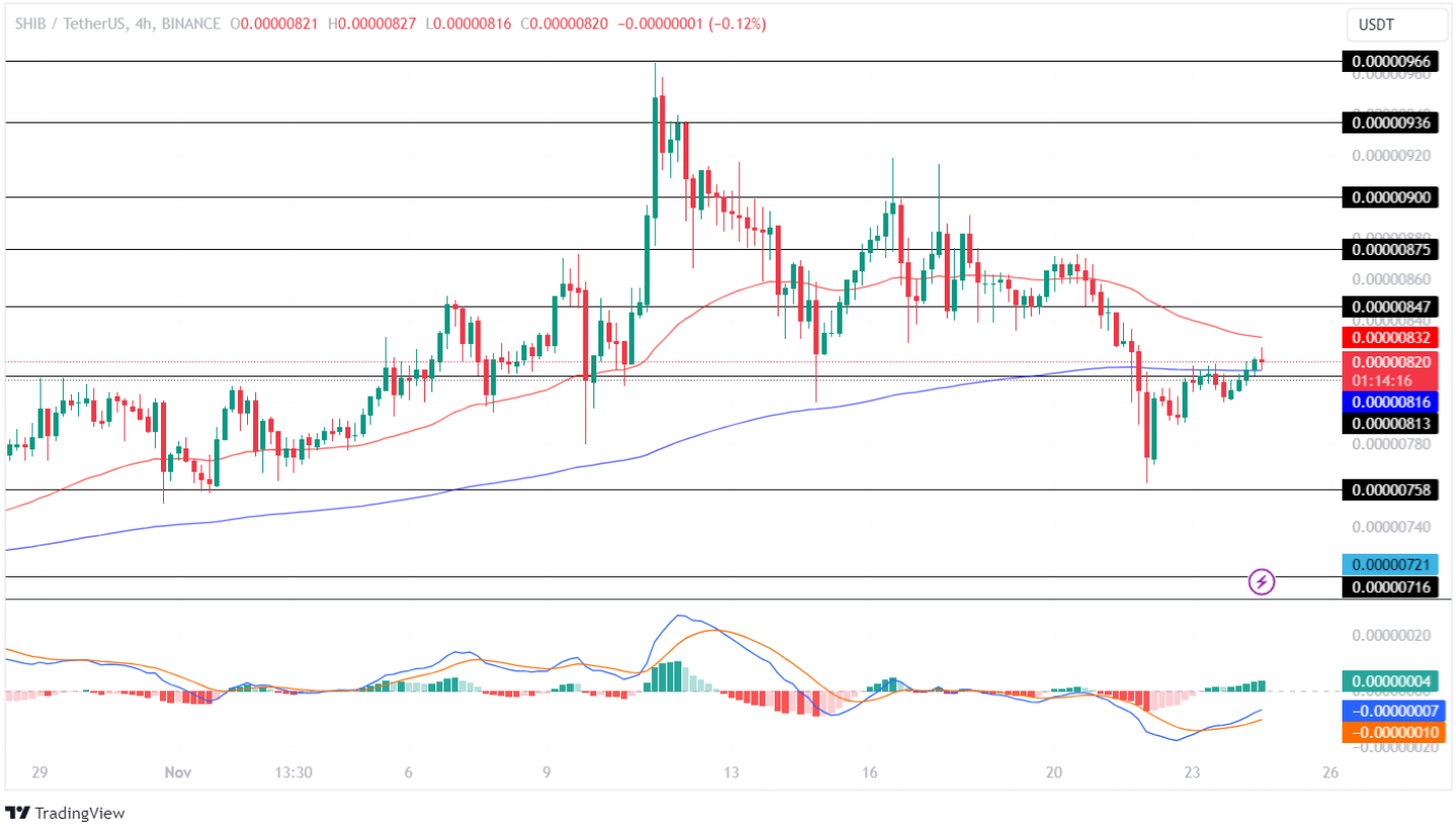 SHIB Price Analysis