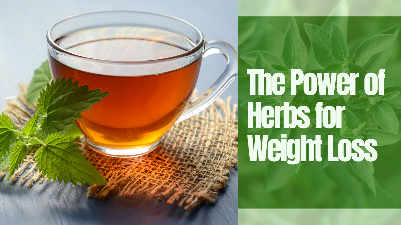 the power of herbs for weight loss