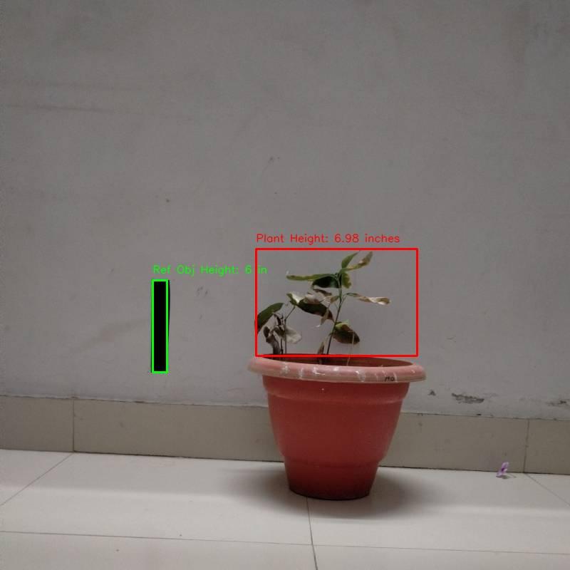 A plant in a pot

Description automatically generated