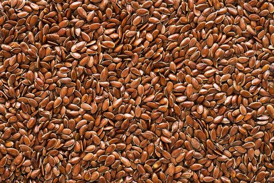 Flaxseed Plant Images – Browse 31,372 Stock Photos, Vectors ...