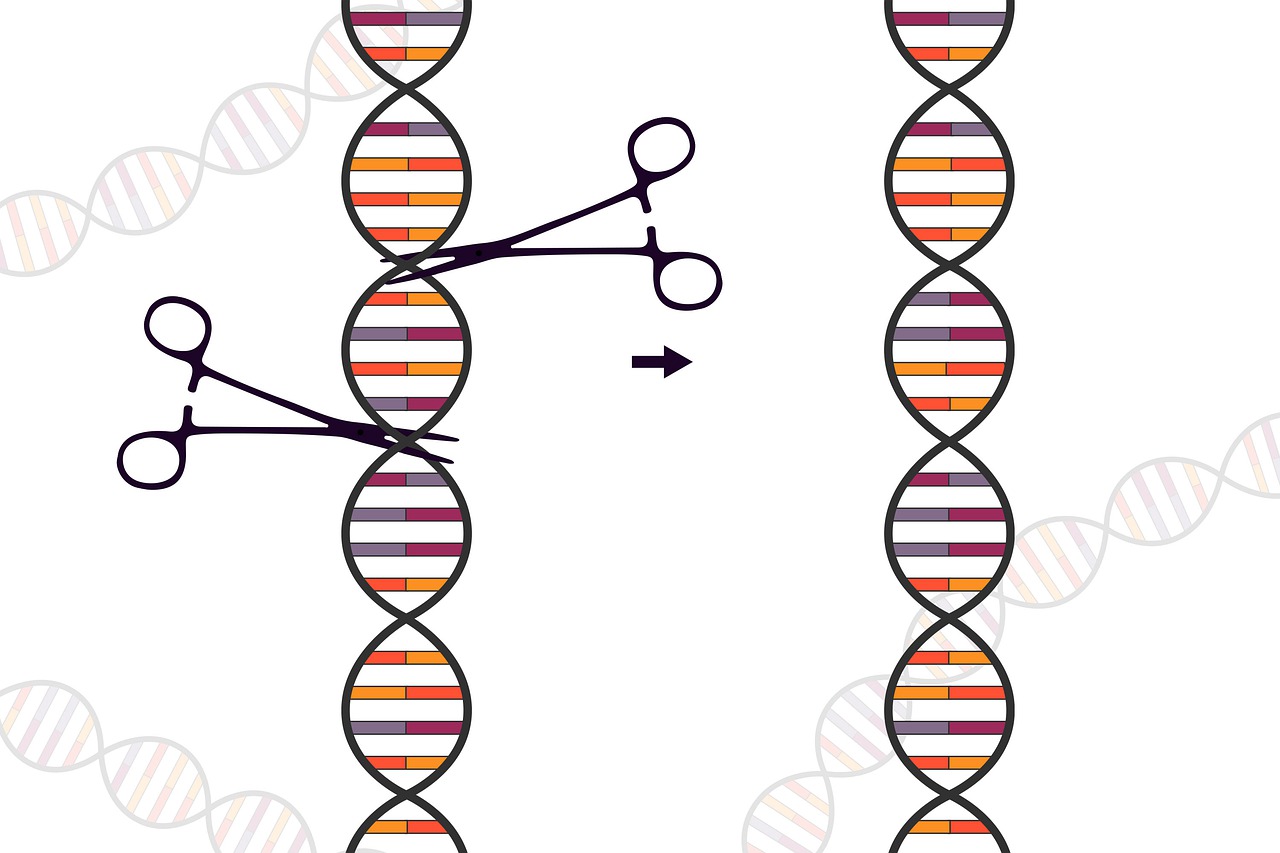 Moléculas de DNAs são cortadas por tesoura.