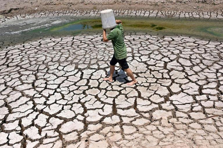 Once lush rice paddies in southern Vietnam now stand cracked and dry amid a blazing heatwave