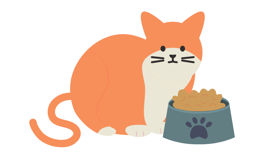 Rekomendasi Merk Makanan Kucing yang Bagus dan Bernutrisi