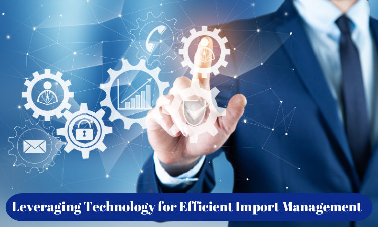 Leveraging Technology for Efficient Import Management