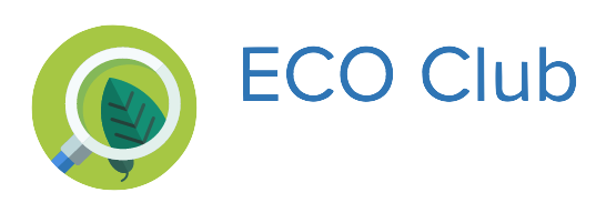 ECO magnifying glass logo.png