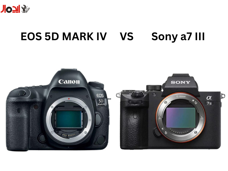 تصویر مقایسه دوربین سونی a7 III و کانن EOS 5D Mark IV