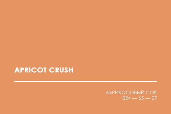 Цвет года 2024 от Pantone: апельсиново - персиковый Apricot Crush