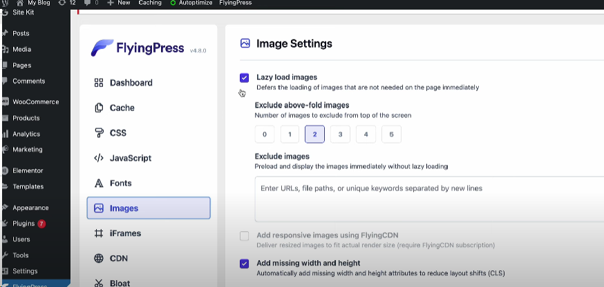 Flying Press wordpress plugin lazy loading images option