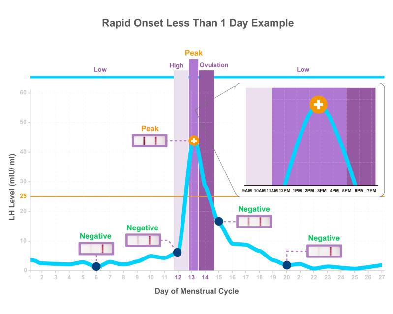 Find your 5 day fertile window within a spike curve