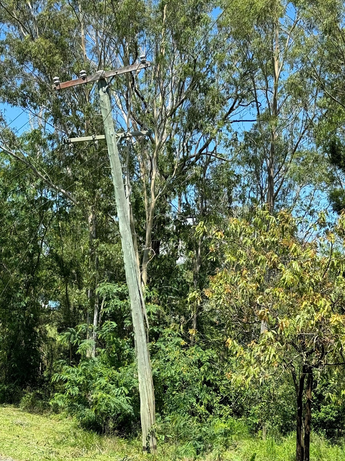 pole damaged from storm