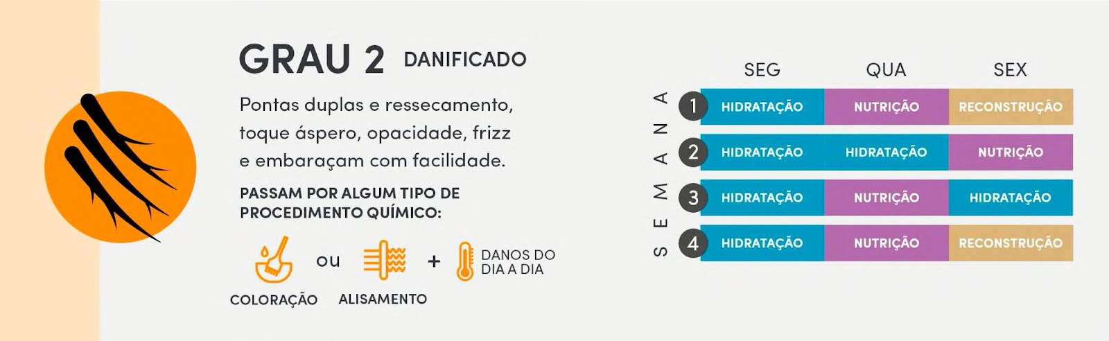 Cronograma capilar indicado para cabelos com nível de dano 2, ou seja, danificados