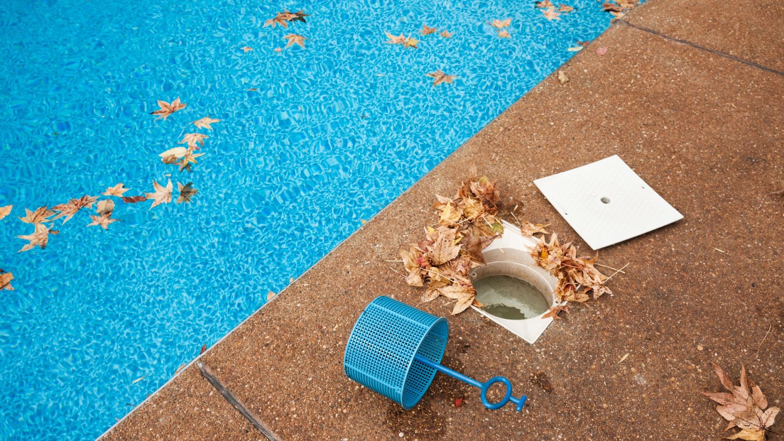 How to Clean a Pool After a Storm or Remove Large Debris