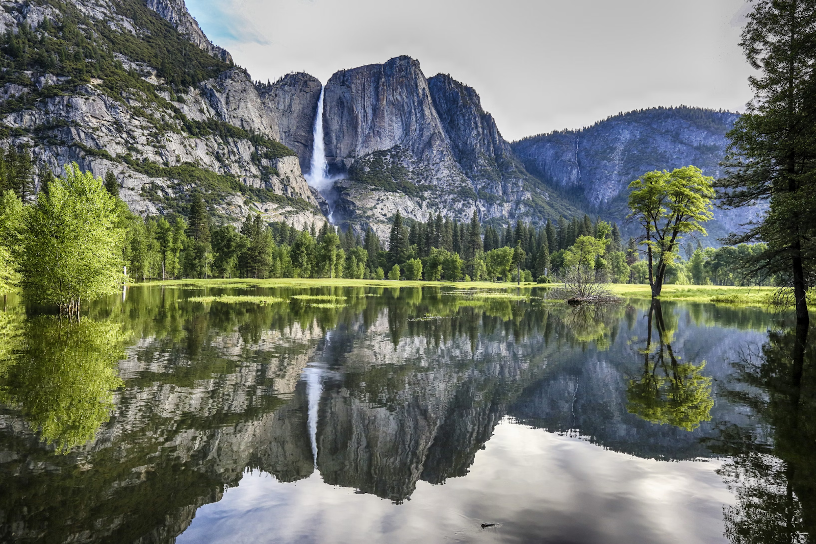A stunning reflection of Yosemite Valley's lush greenery and towering trees in the calm, flooded waters under a clear, expansive sky.