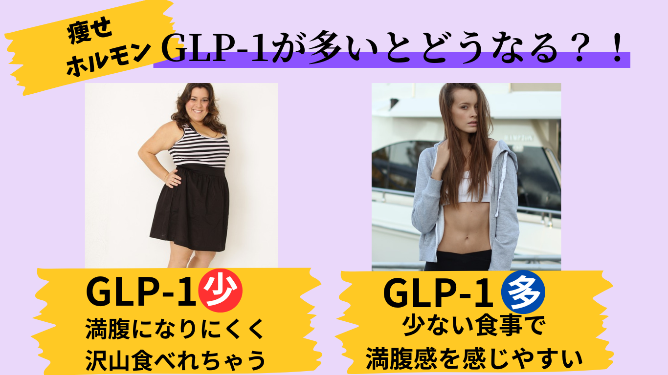 GLP-1が多い人少ない人のイメージ画像