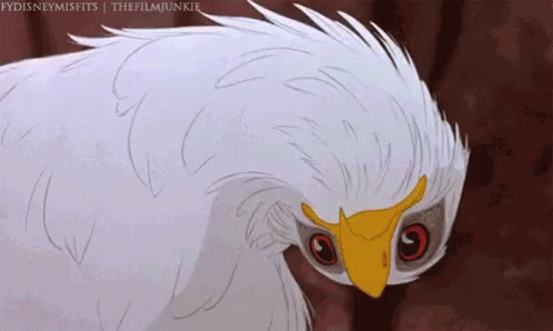 GIF of a confused eagle from Disney's 'The Rescuers Down Under'