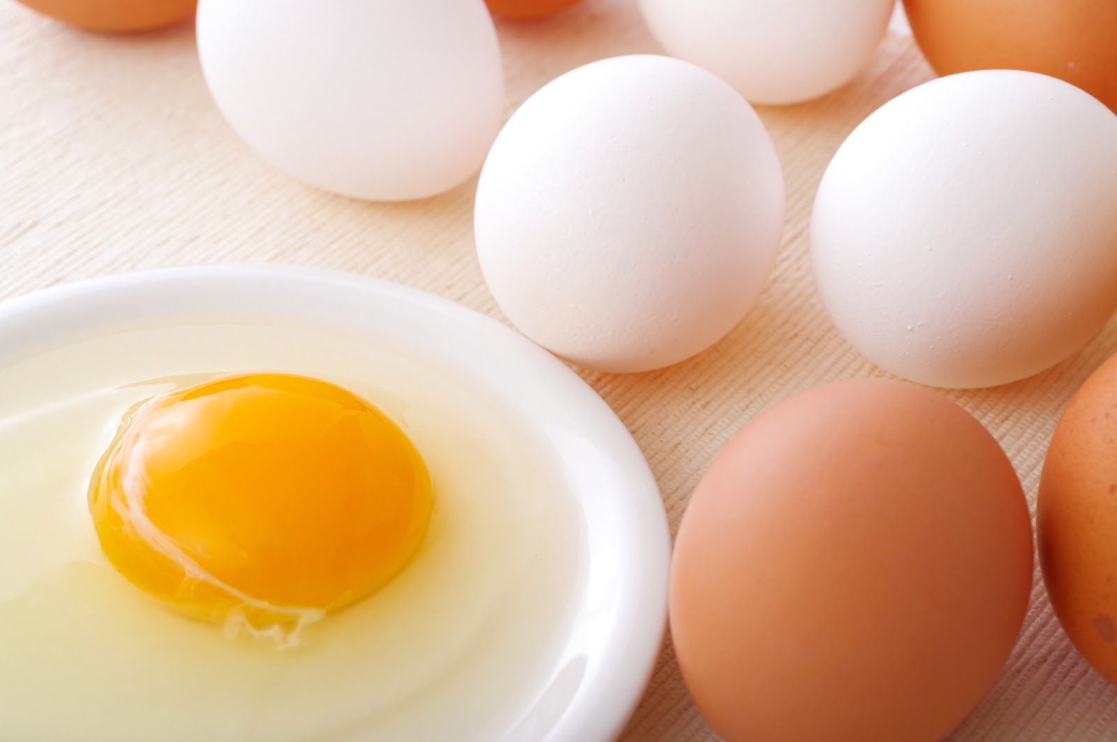 卵の栄養について養鶏場のプロが解説。卵の栄養は食べ方で変わる！