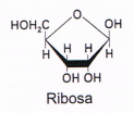 Diagrama, Esquemático

Descripción generada automáticamente