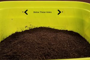 how to store worm castings  