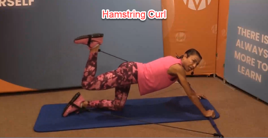 Boost Your Lower Back Health and Core Strength with Gymstick - Hamstring Curl
