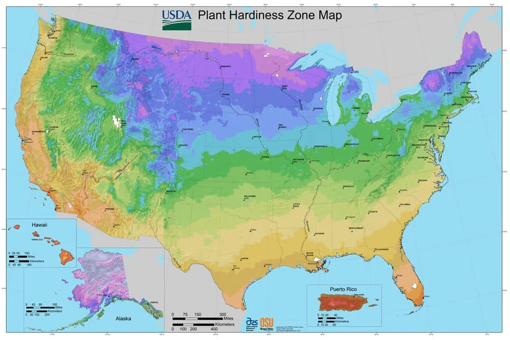 What are planting zones