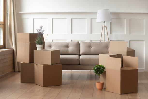 professional packing services in severn