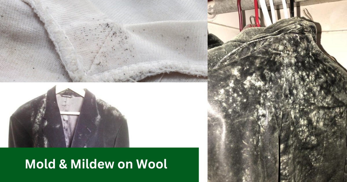 mildew on wool clothes how to get rid off it 