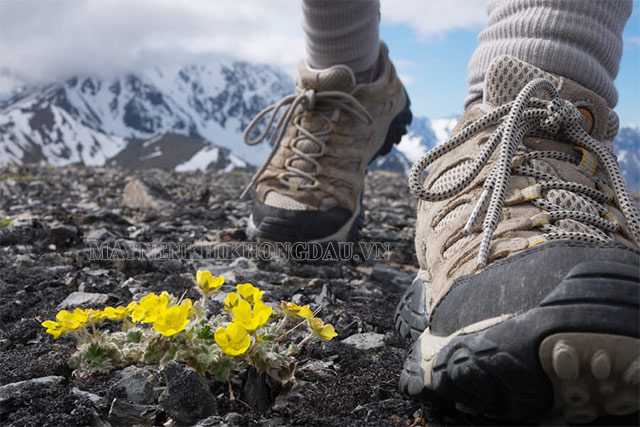 Giày leo núi hỗ trợ việc trekking được thuận tiện hơn