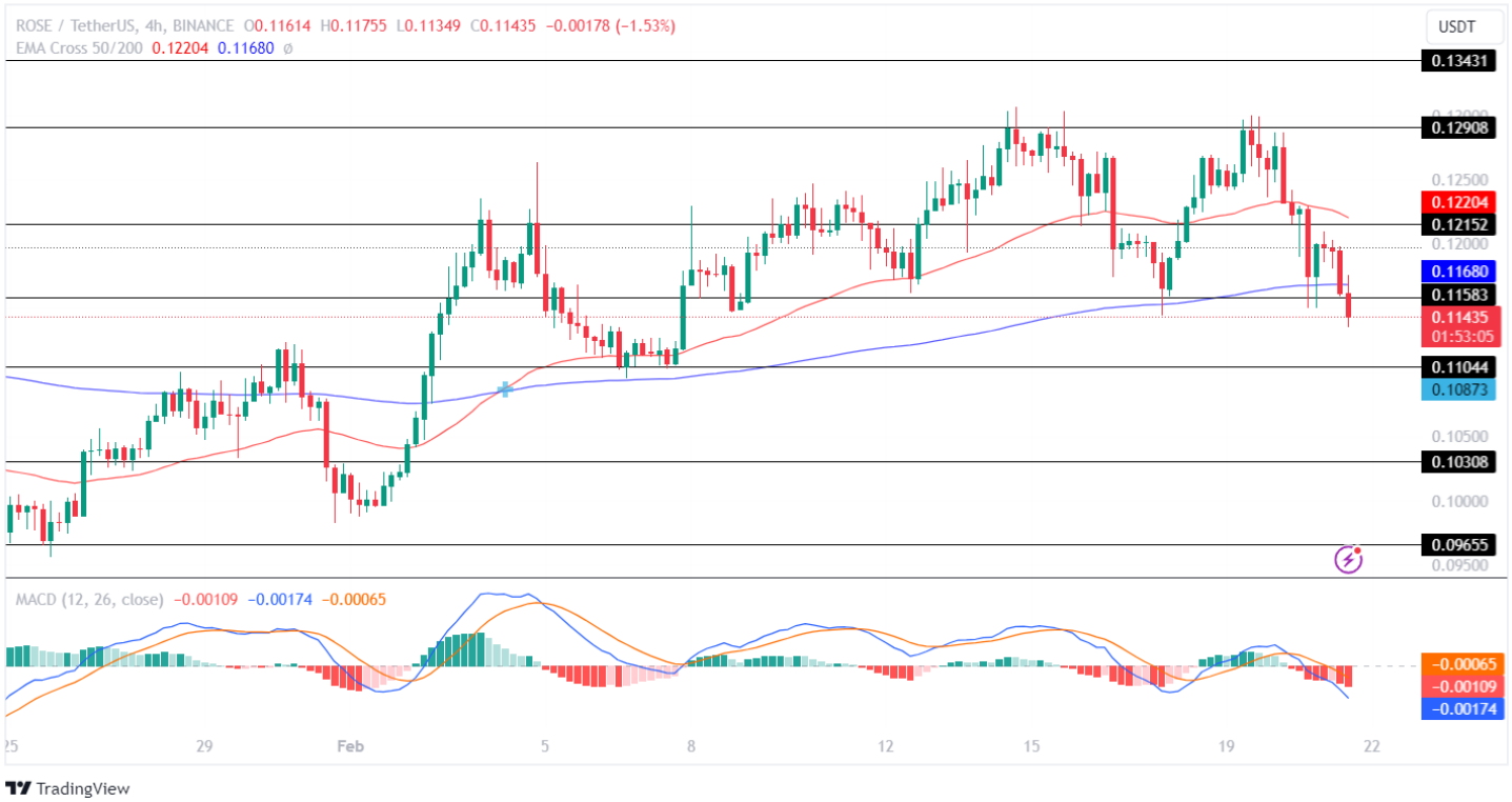 ROSE Price Analysis