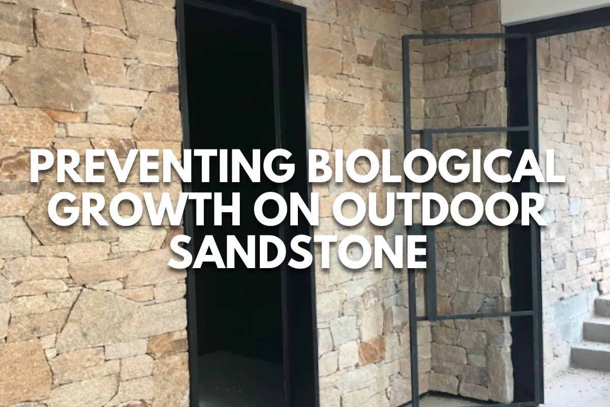 Preventing Biological Growth on Outdoor Sandstone