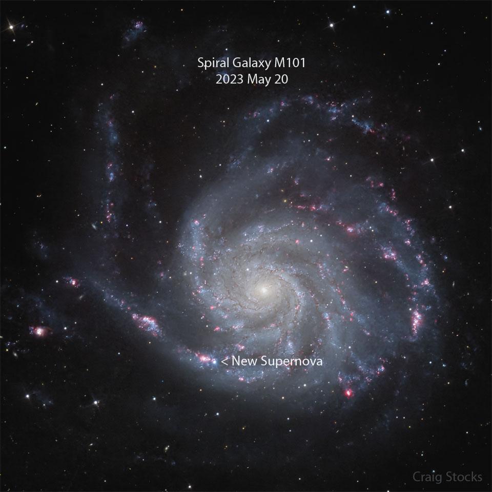 SN 2023ixf: A Newly Discovered Supernova