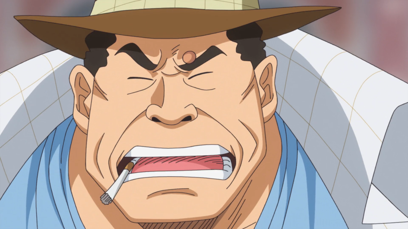 Tokikake in One Piece