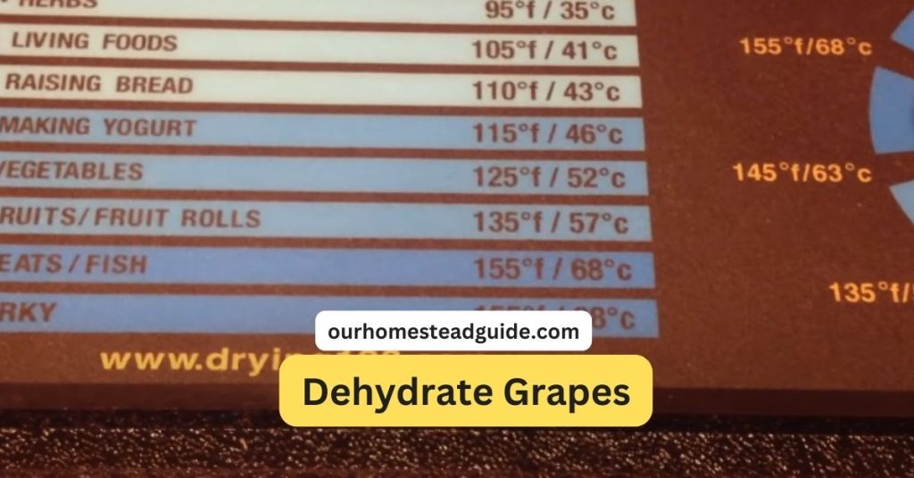 Dehydrate Grapes
