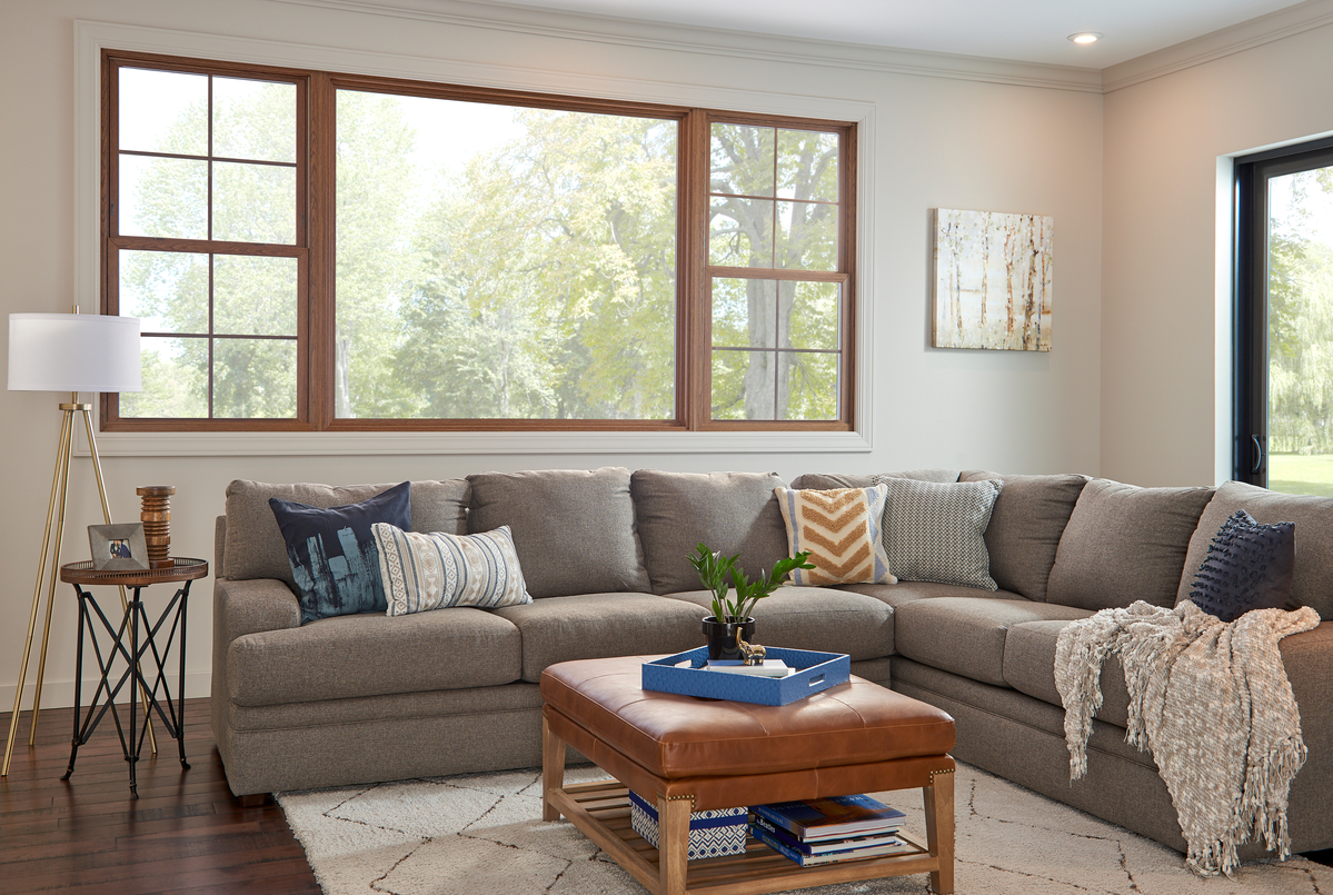 living room with double hung windows