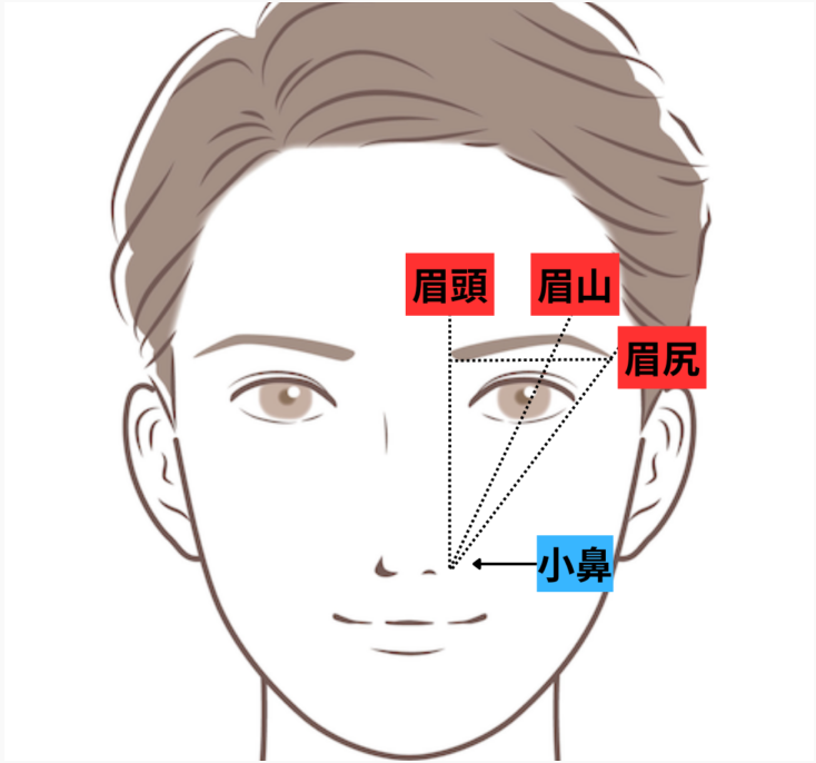 眉毛の黄金比とは