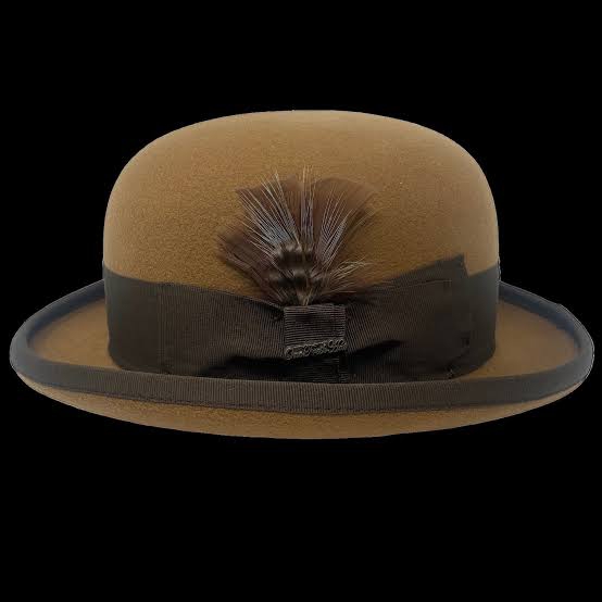 A brown bowler hat with a feather attached to it